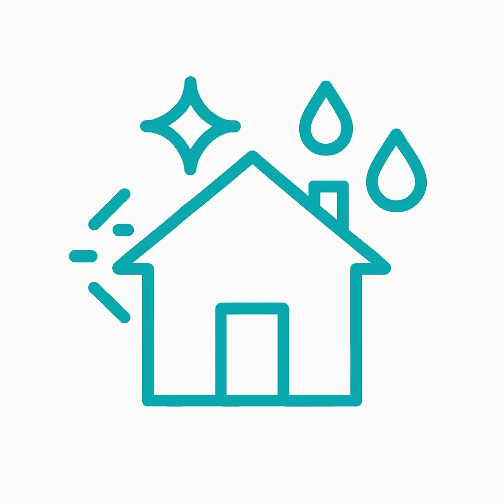House /Soft Washing